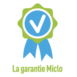 Occasion Reconstruite Miclo