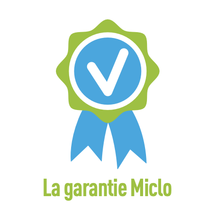 Occasion Reconstruite Miclo